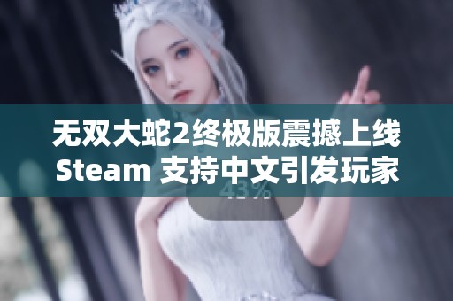 无双大蛇2终极版震撼上线Steam 支持中文引发玩家热潮