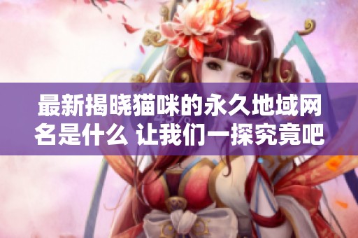 最新揭晓猫咪的永久地域网名是什么 让我们一探究竟吧
