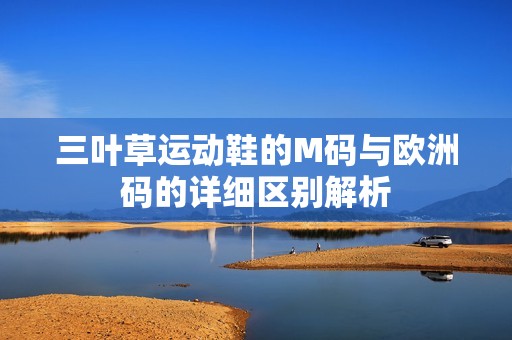 三叶草运动鞋的M码与欧洲码的详细区别解析