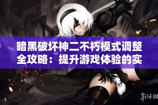 暗黑破坏神二不朽模式调整全攻略：提升游戏体验的实用技巧解析