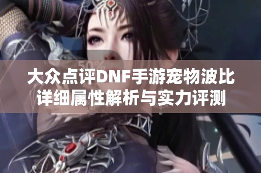 大众点评DNF手游宠物波比详细属性解析与实力评测