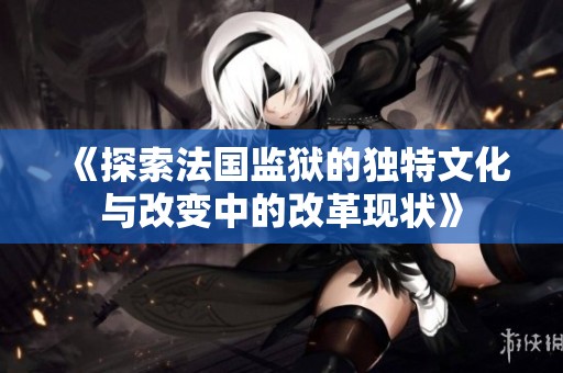 《探索法国监狱的独特文化与改变中的改革现状》