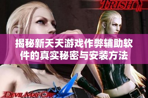 揭秘新天天游戏作弊辅助软件的真实秘密与安装方法