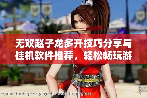 无双赵子龙多开技巧分享与挂机软件推荐，轻松畅玩游戏双开体验