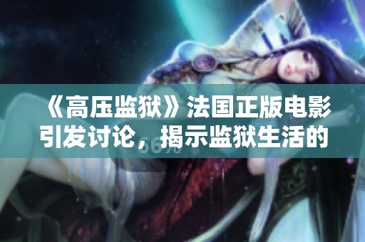 《高压监狱》法国正版电影引发讨论，揭示监狱生活的残酷与人性考验