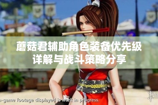 蘑菇君辅助角色装备优先级详解与战斗策略分享
