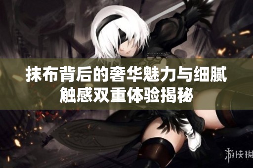抹布背后的奢华魅力与细腻触感双重体验揭秘