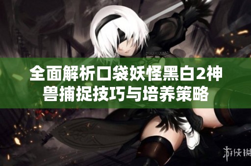 全面解析口袋妖怪黑白2神兽捕捉技巧与培养策略