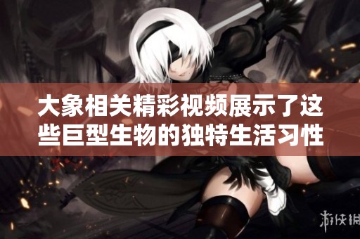 大象相关精彩视频展示了这些巨型生物的独特生活习性和自然魅力