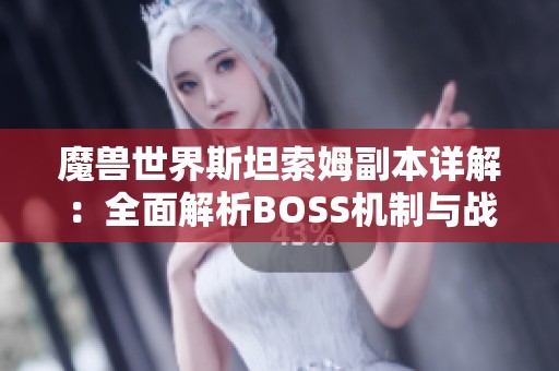 魔兽世界斯坦索姆副本详解：全面解析BOSS机制与战斗策略