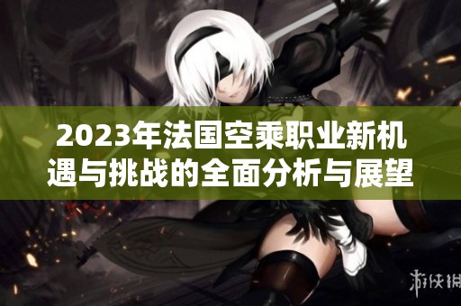 2023年法国空乘职业新机遇与挑战的全面分析与展望