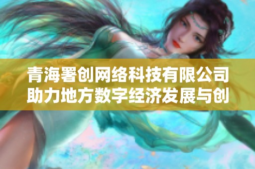 青海署创网络科技有限公司助力地方数字经济发展与创新转型