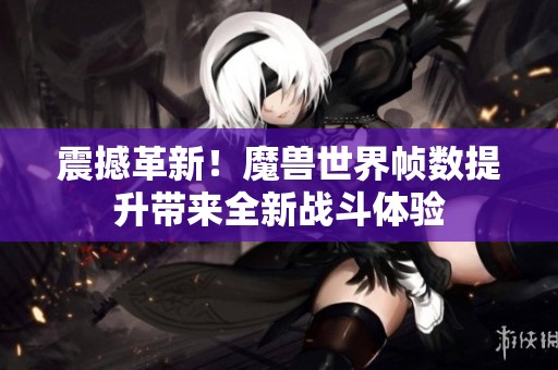 震撼革新！魔兽世界帧数提升带来全新战斗体验