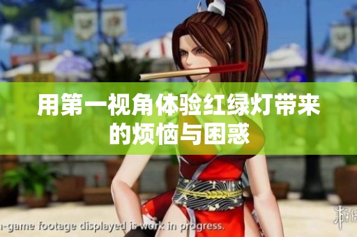用第一视角体验红绿灯带来的烦恼与困惑