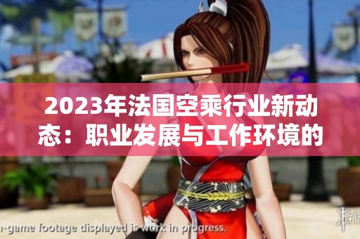 2023年法国空乘行业新动态：职业发展与工作环境的深度分析