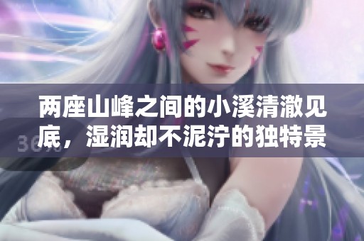 两座山峰之间的小溪清澈见底，湿润却不泥泞的独特景色揭秘