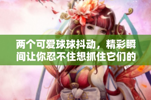 两个可爱球球抖动，精彩瞬间让你忍不住想抓住它们的萌态