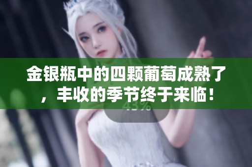 金银瓶中的四颗葡萄成熟了，丰收的季节终于来临！