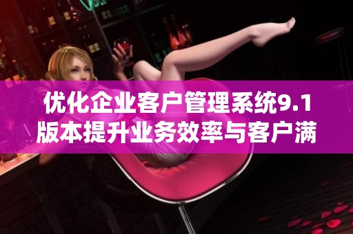 优化企业客户管理系统9.1版本提升业务效率与客户满意度