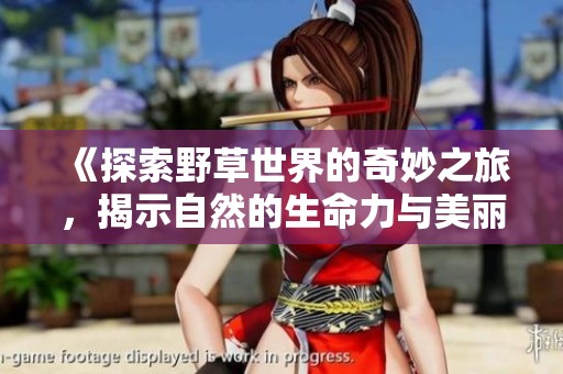 《探索野草世界的奇妙之旅，揭示自然的生命力与美丽》