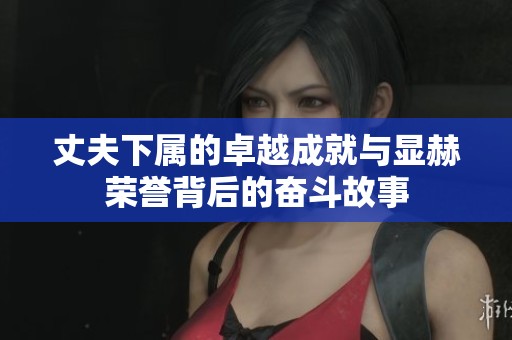 丈夫下属的卓越成就与显赫荣誉背后的奋斗故事