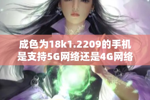 成色为18k1.2209的手机是支持5G网络还是4G网络呢