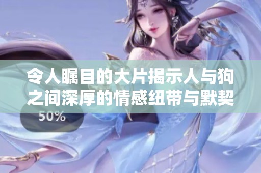 令人瞩目的大片揭示人与狗之间深厚的情感纽带与默契关系