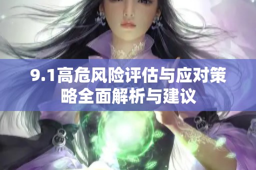 9.1高危风险评估与应对策略全面解析与建议