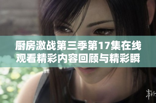 厨房激战第三季第17集在线观看精彩内容回顾与精彩瞬间分享