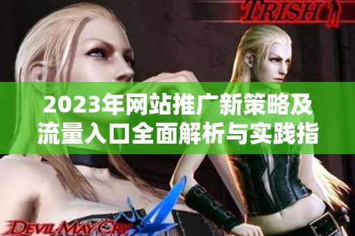 2023年网站推广新策略及流量入口全面解析与实践指南