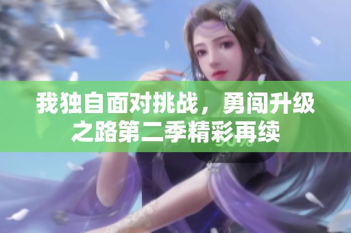 我独自面对挑战，勇闯升级之路第二季精彩再续
