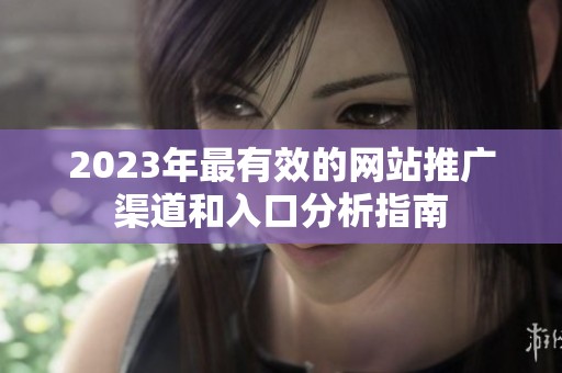 2023年最有效的网站推广渠道和入口分析指南