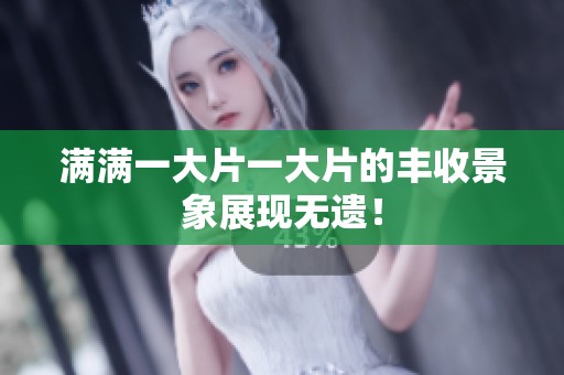 满满一大片一大片的丰收景象展现无遗！