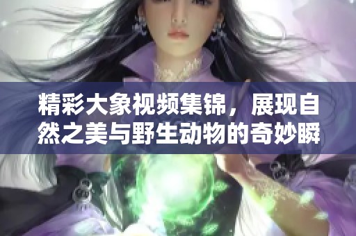 精彩大象视频集锦，展现自然之美与野生动物的奇妙瞬间